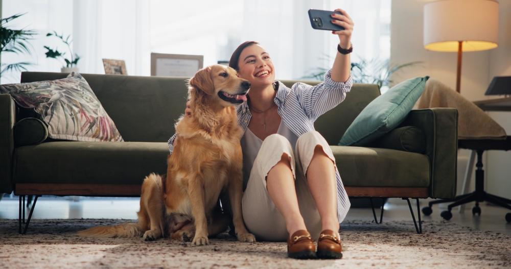 Kvalitní fotomobil ocení jak profesionálové, tak i nadšenci do fotografování na sociální sítě.