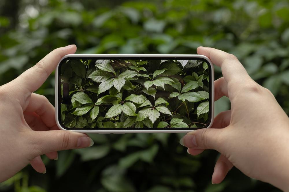 Fotomobily do 7 000 Kč přináší výrazně ostřejší a jasnější snímky.